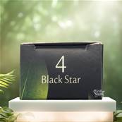 Enatae- Fard à Paupières Minéral - N.4 Black Star