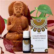 Goloka - Huile Parfume Sauge Blanche - California White Sage