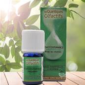 Herbes et Traditions - Quantiques Olfactifs - Désacoutumance - 5ml