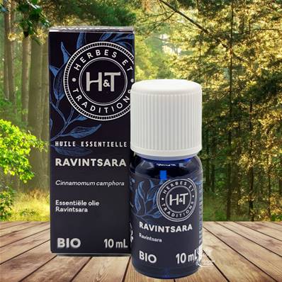 Herbes et Traditions - Huile Essentielle - Ravintsara Bio 10ml