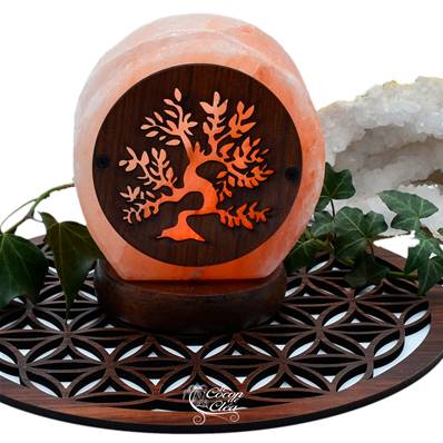 Lampe en véritable Sel de l'Himalaya USB Décoration Bois - Arbre de Vie 600g